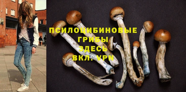герыч Абаза