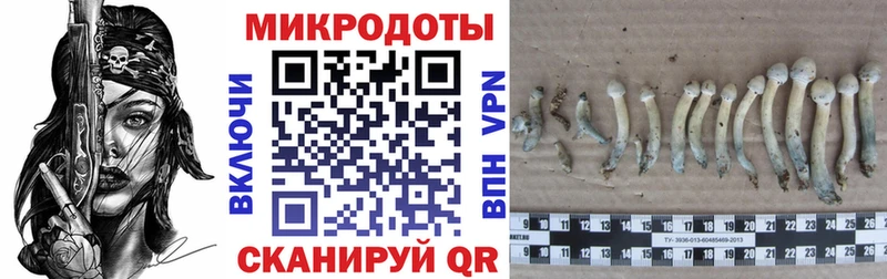 Галлюциногенные грибы прущие грибы blacksprut как зайти Барыш
